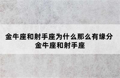 金牛座和射手座为什么那么有缘分 金牛座和射手座